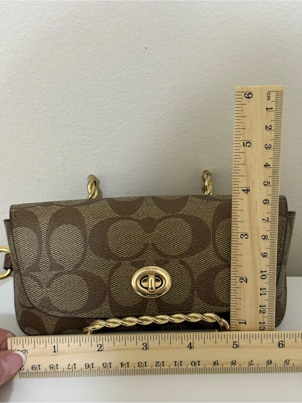 Coach Signature Canvas Turnlock Eye/Sun glass Case In Brown